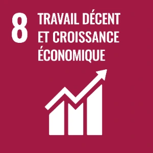 ODD 8 – Travail décent et croissance économique ODD 8 – Travail décent et croissance économique