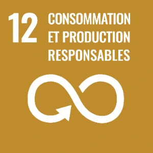 ODD 12 – Consommation et production responsables